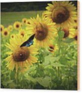 Sunflowers In Memphis Wood Print