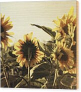 Sunflowers In Tone Wood Print
