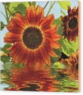 Sunflowers In Water Wood Print