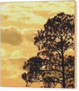 Sunglow Pine Wood Print