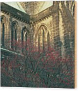 Sunlit Glasgow Cathedral Wood Print