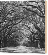 Sunny Southern Day - Black And White Wood Print