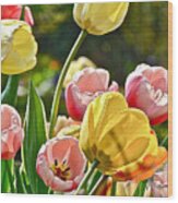 Sunny Tulips Wood Print