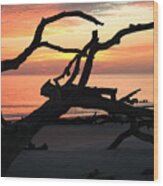 Sunrise At Driftwood Beach 3.1 Wood Print