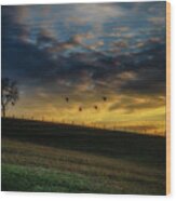 Sunrise Flight Wood Print