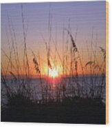 Sunset And Seaoats Wood Print