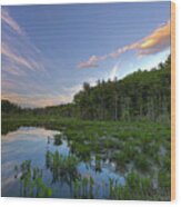 Sunset At Mass Audubon's Broadmoor Wildlife Sanctuary Wood Print