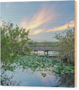 Sunset At The Everglades National Park Wood Print