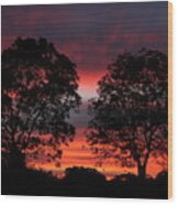 Sunset Behind Two Trees Wood Print