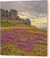 Sunset By Cow And Calf Rocks Wood Print