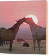 Sunset Horses Wood Print