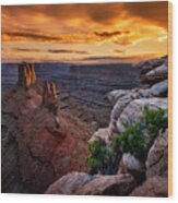 Sunset In Canyonlands Wood Print