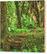 Super Green Rainforest Wood Print