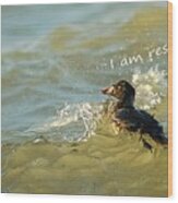 Surf Scoter Says I Am Resilient Wood Print