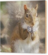 Surreptitious Squirrel Wood Print