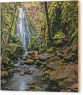 Susan Creek Falls Wood Print