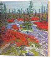 Susie Lake Barrens Wood Print