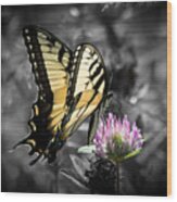 Swallowtail Butterfly- Color Pop Wood Print