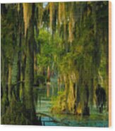 Swamp Curtains In May Wood Print