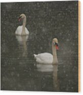 Swan Lake Wood Print