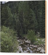 Swing By The Vail Stream Wood Print