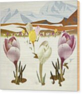 Switzerland, Mountain Flowers, Airline Poster Wood Print