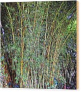 Sylph Of The Bamboo Forest Wood Print