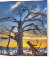 Tahoe Sunset Behind Dead Tree Wood Print