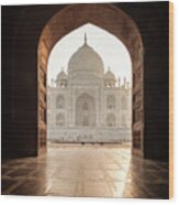 Taj Mahal Mosque View Wood Print