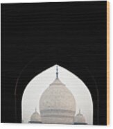 Taj Mahal Mosque View Iiii Wood Print