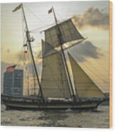 Tall Ship In Charleston Wood Print