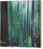 Tall Trees Wood Print