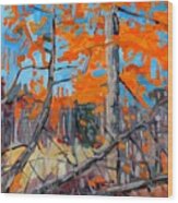 Tangled Tamaracks Wood Print