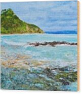 Tapeka Beach Russell Bay Of Islands Nz Wood Print