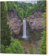 Taughannock Falls State Park Wood Print