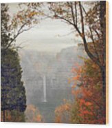 Taughannock In The Mist Wood Print
