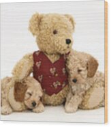 Teddy Bear With Puppies Wood Print