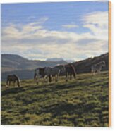 Telluride Mountain Herd Wood Print