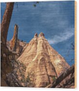 Tent Rock And Ponderosa Pine Wood Print
