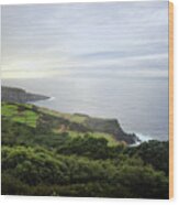 Terceira Coast, The Azores Wood Print