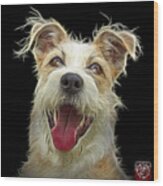 Terrier Mix 2989 - Bb Wood Print