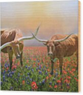 Texas Longhorns In Spring Wildflowers Wood Print