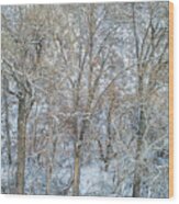 Texture Of Trees With Snow Wood Print