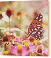 Textured Butterfly Wood Print