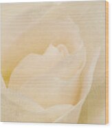 Textured Pastel Rose Wood Print