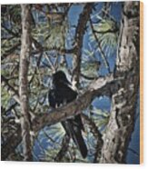 That Crow In The Backyard Wood Print