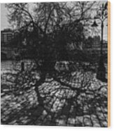The Ancient Tree And Its Shadow Wood Print