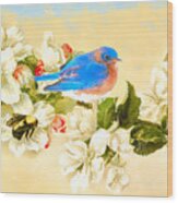 The Beautiful Bluebird Wood Print