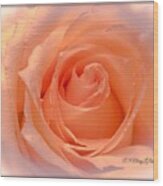 The  Beauty Of A Rose  Copyright Mary Lee Parker 17, Wood Print