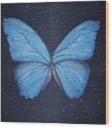 The Blue Butterfly Wood Print
